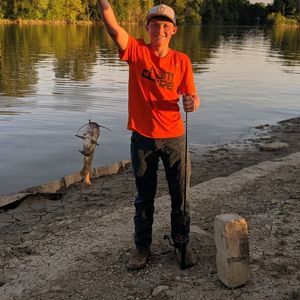 Meet your Posher, Dennis